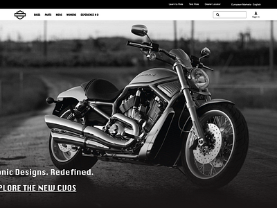 Harley Davidson, RIDEstyle branding graphic design test typography ui