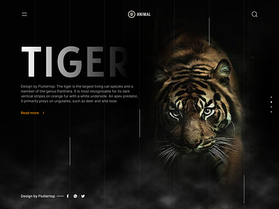 Roaring Majesty: Tiger's fierce elegance. animals branding design fluttertop hero banner hero header hero image landing page nature tiger banner images tiger hero background tiger hero section design tiger illustration tiger logo tiger themed web design tiger web banner tiger website hero tigers uiux wildlife