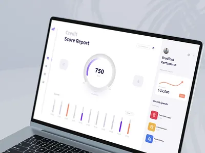 Credit Score Report 💯 3d animation motion graphics ui visual design