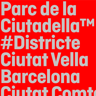 Ciutadella typeface branding design font graphic design logo sans typography