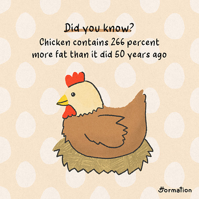 Chicken contains 266 percent more fat than it did 50 years ago cartoon chicken did you know digital art digital illustration drawing fact fat fun fact illustration procreate