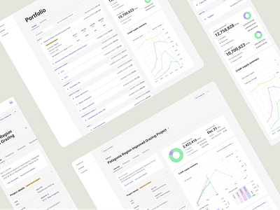 Carbon Asset Management Tool dashboard greentech ui ux