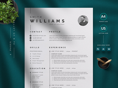 ResumeCV cover letter cv template design illustration professional resume ui us letter vector word