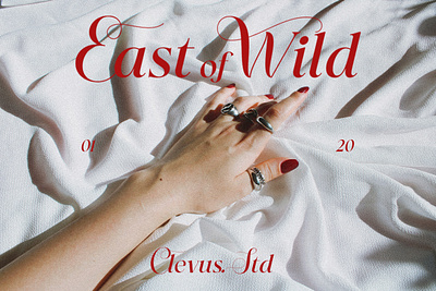 East of Wild | Luxury ornament serif beautiful branding business ideas calligraphy classy decorative design elegant fashion font lettering luxury magazine serif typeface wedding