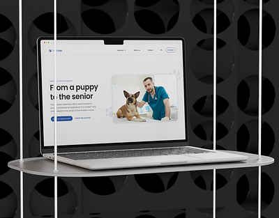 Veterinary clinic website branding design figma pets ui ux web webflow