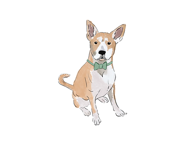 Louis - One Handsome Mutt dog illustration mutt pet pets sketch
