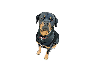 Brutus - A Good Boy animals dog dogs illustration pet pets sketch