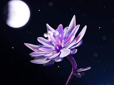 MOONFLOWER 3d animate animated animation blender cgi design experiment flower flowers graphics green growing moody moon night plant plants purple render