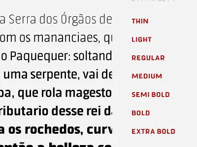 Weights font type design typedesign typography