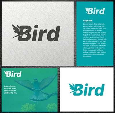 Bird Logo Design branding design graphic design icon logo logo design typography vector