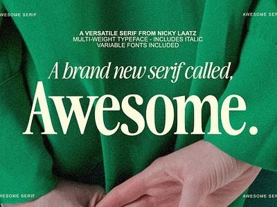 The Awesome Serif Family (32 Fonts) chic font font fonts header serif