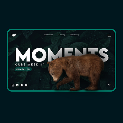 Modern UI Concept | Cubs Week 3d animals branding concept cub design graphic design mockup moments socials ui ux vector webapp webdesign website
