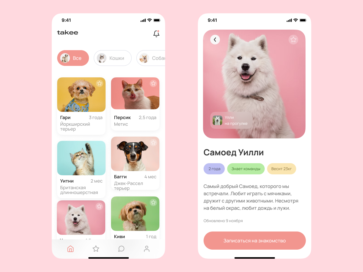 Design of animal shelter app by Maria Nikitkova on Dribbble