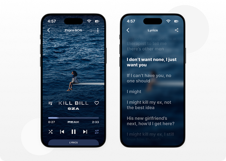 peak-music-player-by-bison-max-on-dribbble