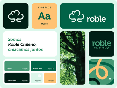Roble Chileno 2023 brand branding graphic design green identity lawyer legal logo logo design