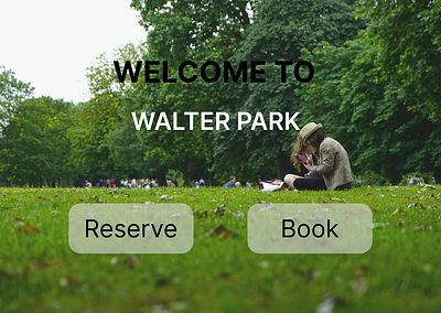 Walter park design figma graphic design ui web design
