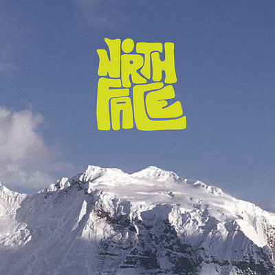 North Face Branding apparel branding graphicdesign illustration logo logodesign nature north face procreate