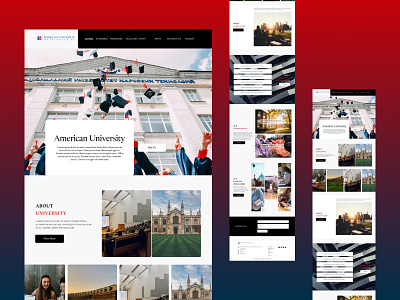 American University WebRedesign: A Modern Educational Experience branding graphic design ui webpage