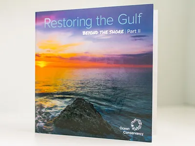 Ocean Conservancy Booklet booklet brochure graphic design nonprofit print design