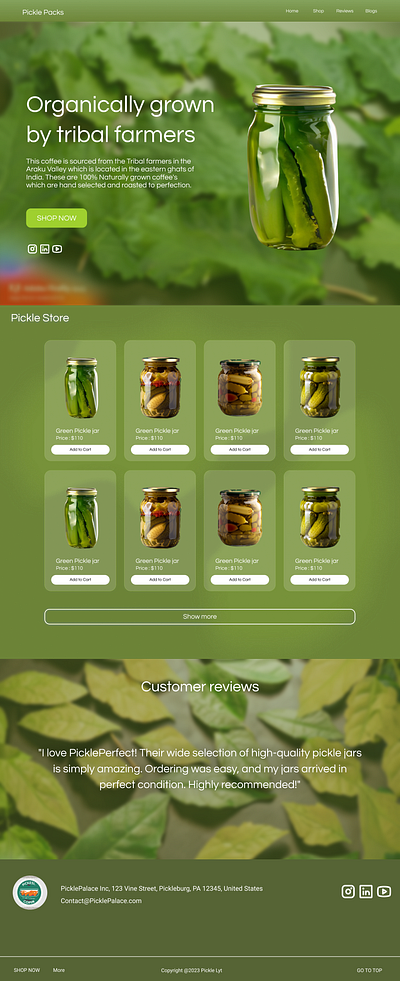 Pickle Packs homepage ui uiux ux webdesign website