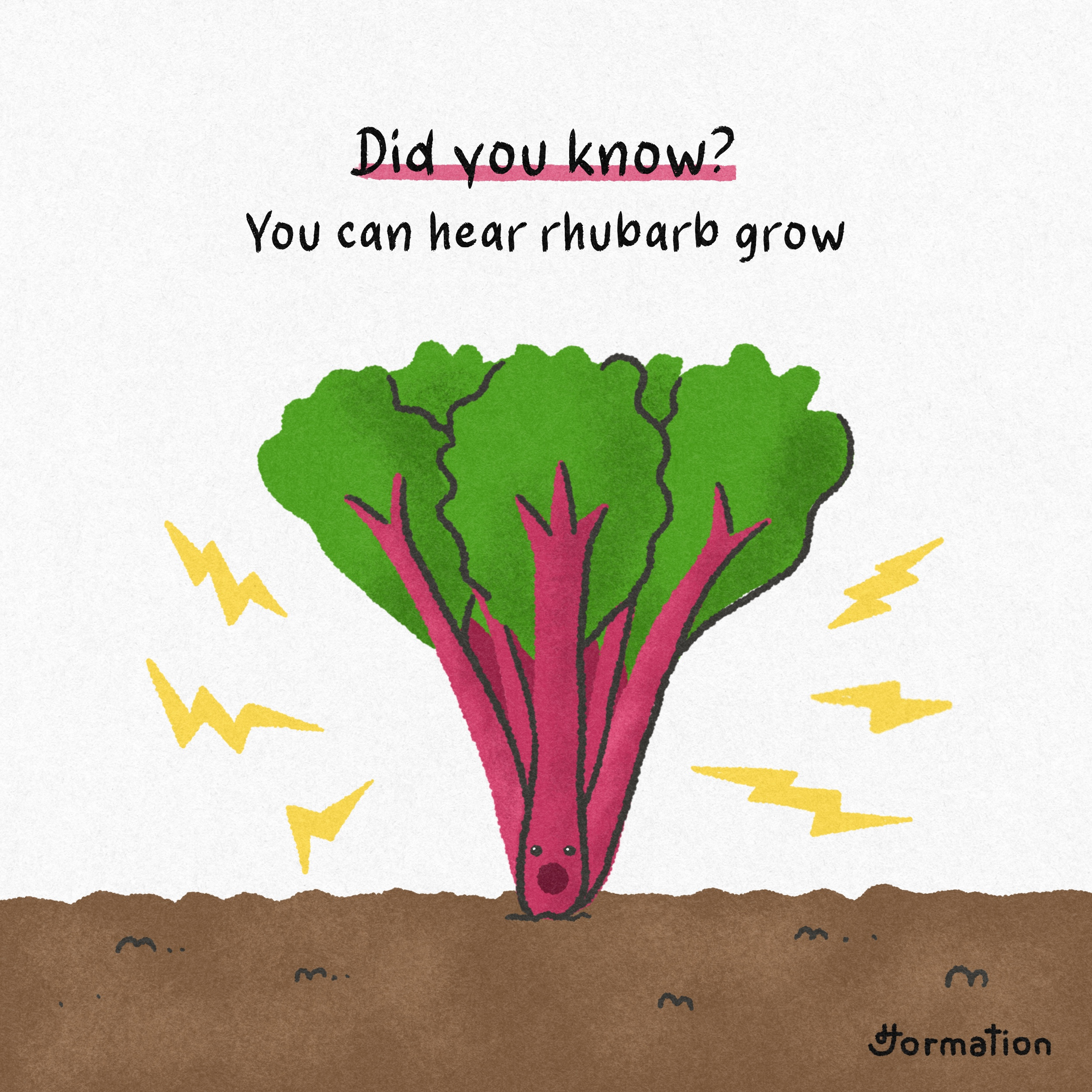 You can hear rhubarb grow cartoon digital art digital illustration drawing fun fact illustration rhubarb vegetable