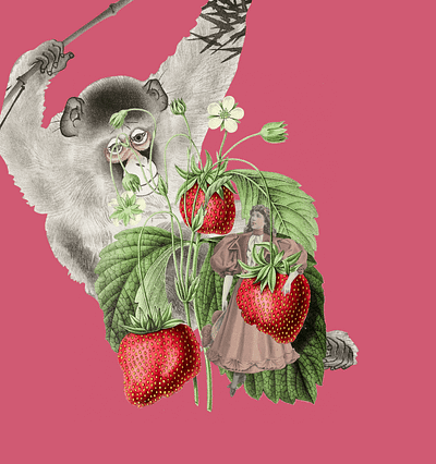 🍓 Friends will be friends collage digitalart digitalcollage gimp girl monkey strawberry vintage