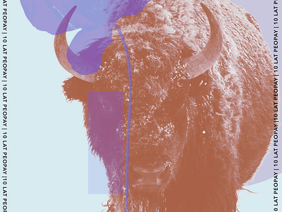 🦬 10 years of PeoPay / competition entry bison collage digitalart digitalcollage pekao poland