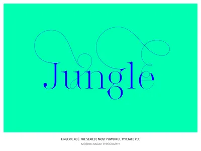 Lingerie XO Typeface - By Moshik Nadav Fashion Typography ampersand design fashion fashion branding fashion logos fashion magazine fonts fashion magazine typogrpahy fashion typeface fashion typography fonts ligatures logo logotype luxury fonts moshik nadav sexy fonts typeface typography vogue fonts vogue typeface