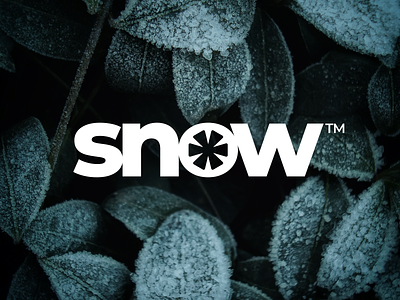 Snow Wordmark Logo app icon branding flat icon logo monogram simple logo snow