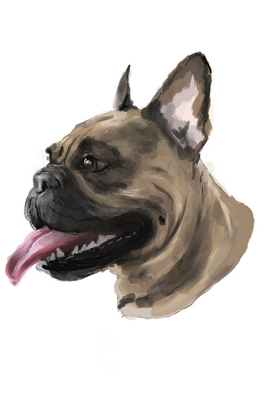 Realistic dog portrait affinity design art illustration portrait raster graphics realistic style
