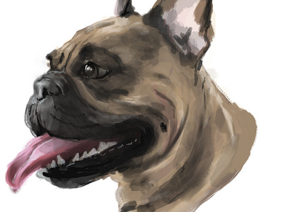 Realistic dog portrait affinity design art illustration portrait raster graphics realistic style