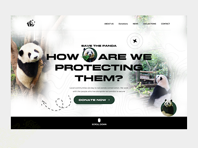 Donation Website Landing Page animal charity donate donation figma homepage landingpage panda ui ux web