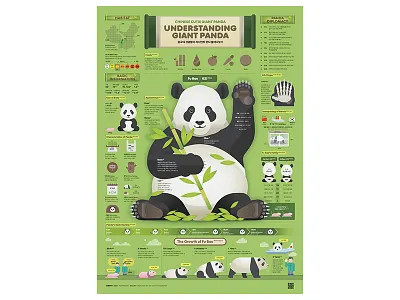 2307_Giant Panda 203x data visualization design editorial design graphic design infographic poster streeth