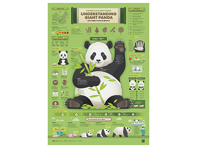 2307_Giant Panda 203x data visualization design editorial design graphic design infographic poster streeth