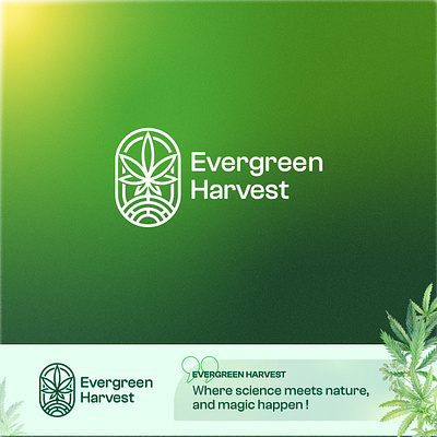 Logo for cannabis production company branding graphic design logo