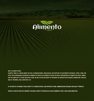 Alimento Foods Branding animation branding graphic design logo