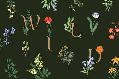 Wildflower for Creative Market branding flower graphic design illustration typography watercolor