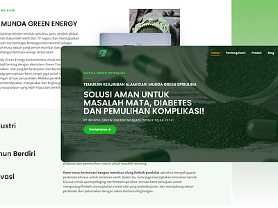Healthy Web Design health website healthy web design