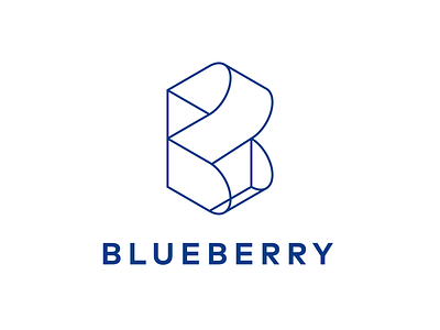 Blueberry 3d b blue branding icon illusion isometric line logo minimal