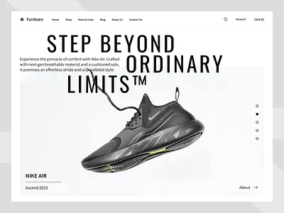 Turskoen Shoe Shop: E-Commerce Interface ux