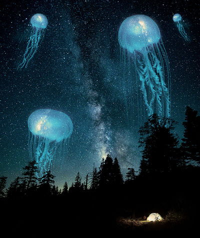 Jellyfish sky photomanipulation