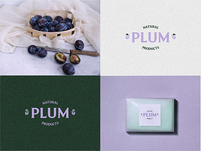 LOGO PLUM branding graphic design logo