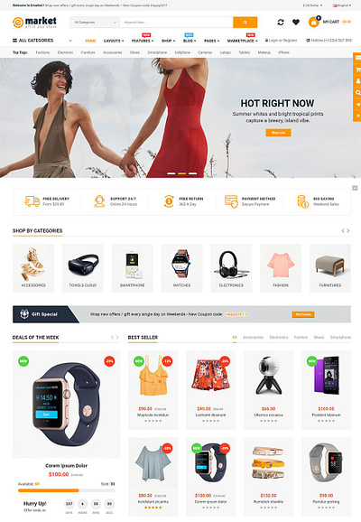 Multi Products eCommerce Store/website design design