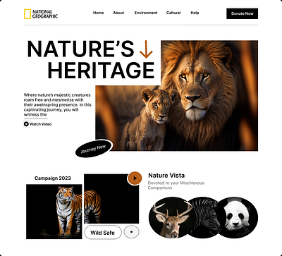 National Geographic app branding design graphic design ui ux