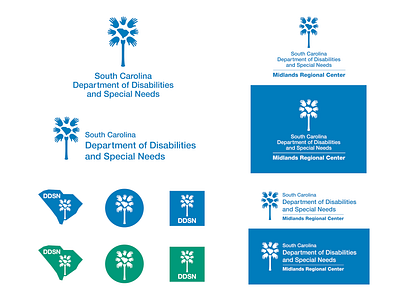 SC Department of Disabilities and Special Needs Rebrand animation brand identity branding design graphic design healthcare marketing icons logo vector