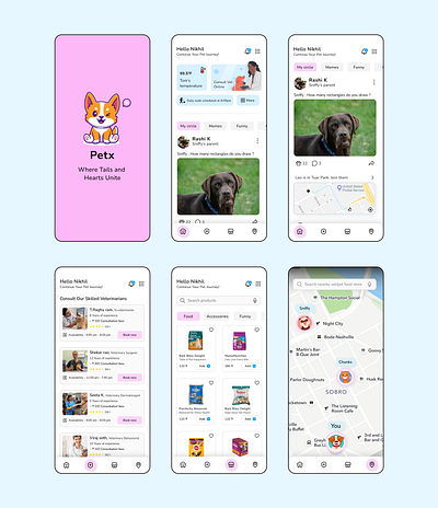Petx mobile App - The guild challenge app branding cat dog guild pet pet app ui ux