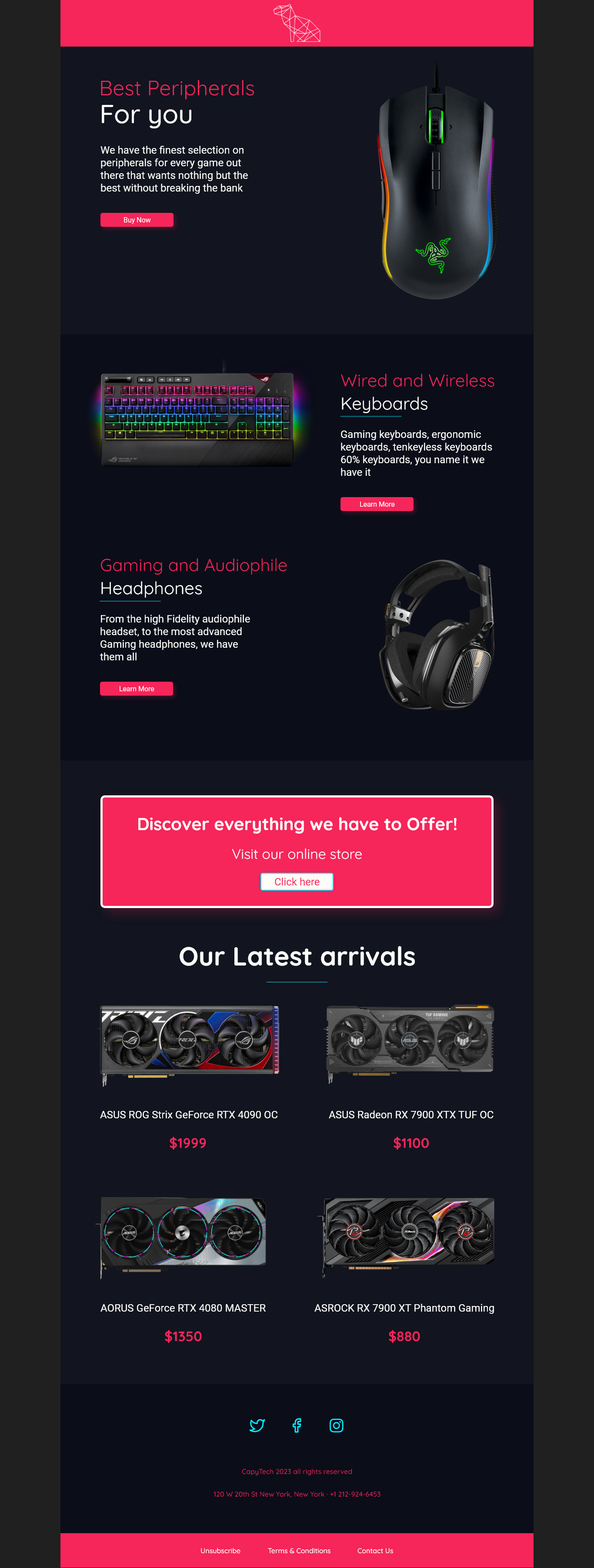 CapyTech: Tech Newsletter branding design graphic design newsletter ui