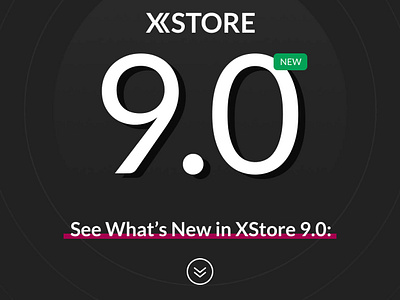XStore | Multipurpose WooCommerce Theme wordpress theme