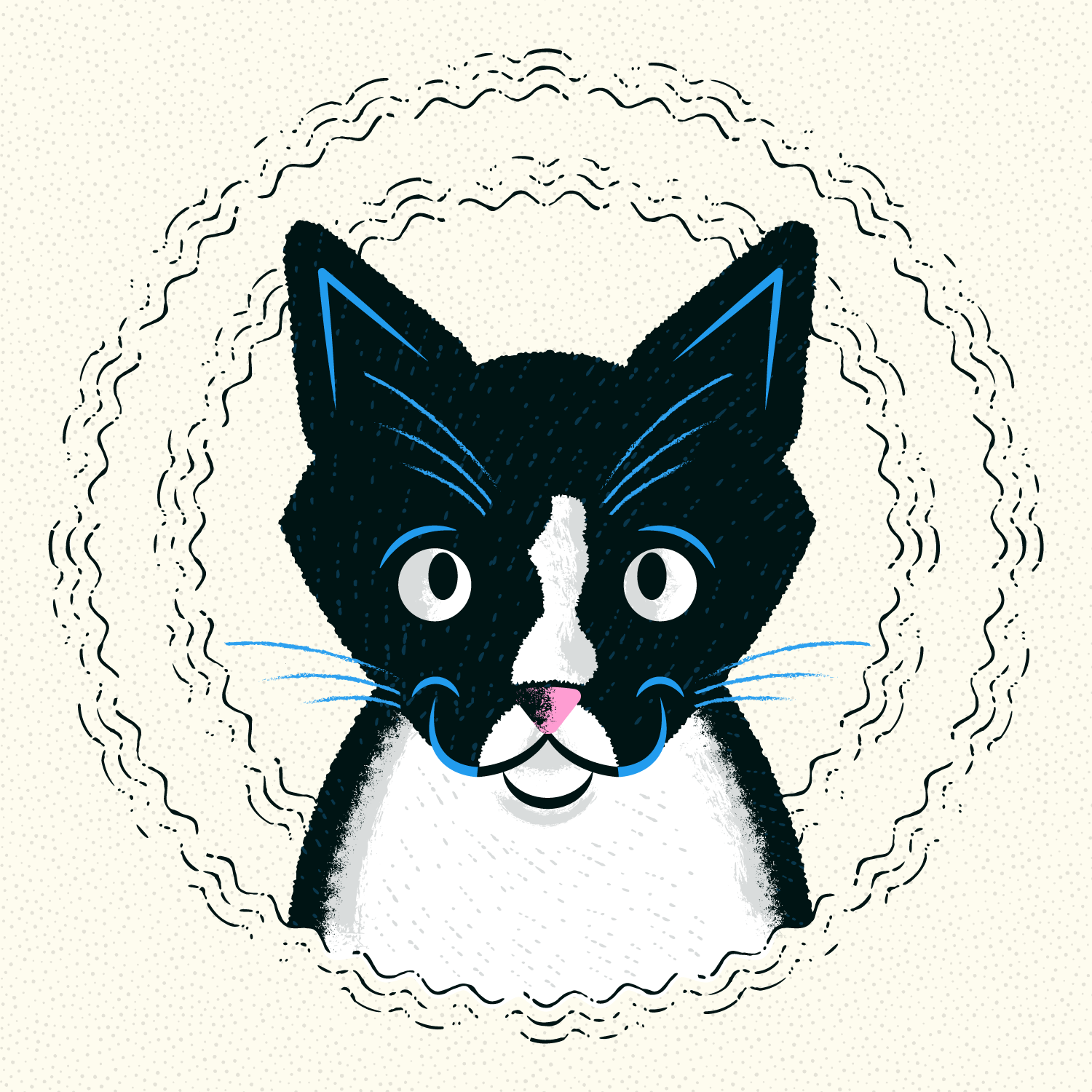 Purring Tuxedo Cat animals black and white cats cute furry kitten kitty pets portrait purring purrs tuxedo vibrations waves whiskers