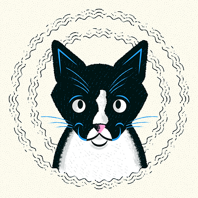 Purring Tuxedo Cat animals black and white cats cute furry kitten kitty pets portrait purring purrs tuxedo vibrations waves whiskers